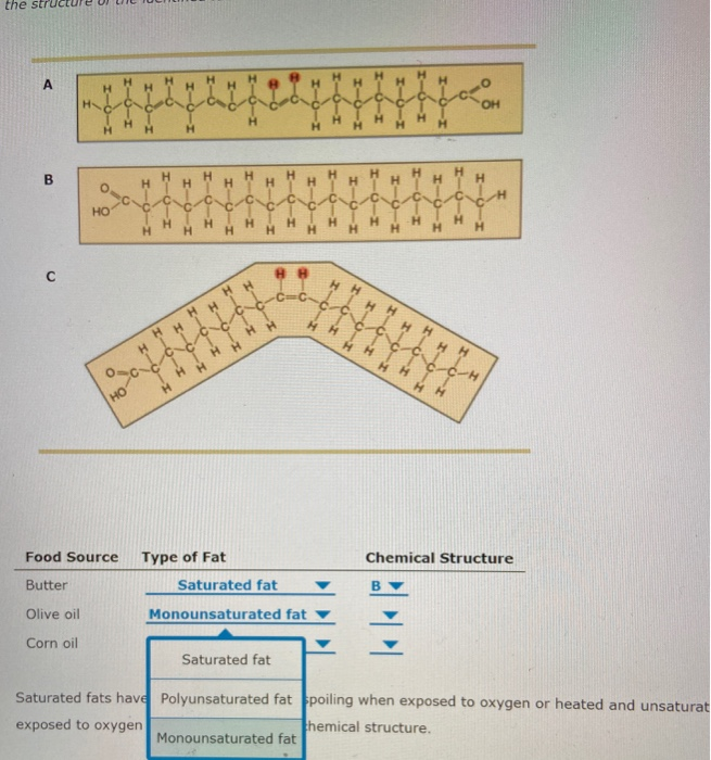 Solved Food Source Type Of Fat Chemical Structure Butter Chegg