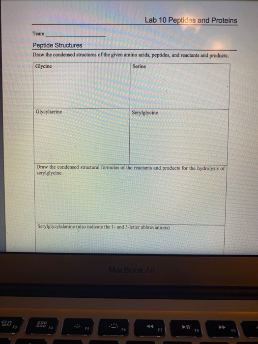 Solved Lab 10 Peptides and Proteins Team Peptide Structures | Chegg.com