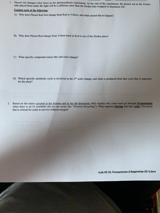 Solved 1. Phenol red changes color twice in the