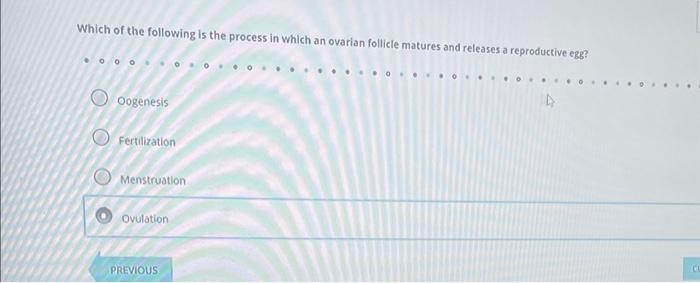 Solved To separate genomic DNA fragments by size, which of | Chegg.com