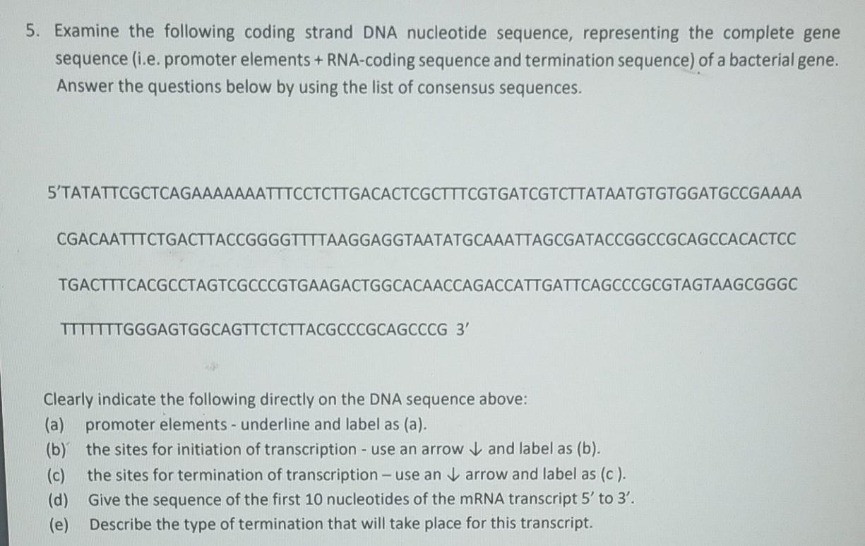 Solved 5. Examine the following coding strand DNA nucleotide | Chegg.com