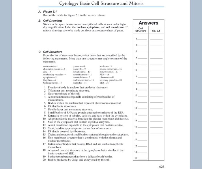 Solved Cytology: Basic Cell Structure and Mitosis A. Figure | Chegg.com