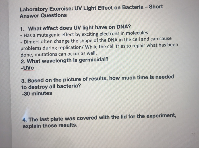 Effect of uv light on bacterial growth experiment