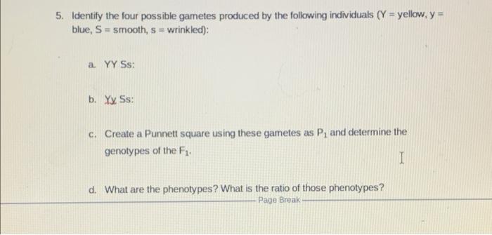 Solved 5. Identify the four possible gametes produced by the | Chegg.com