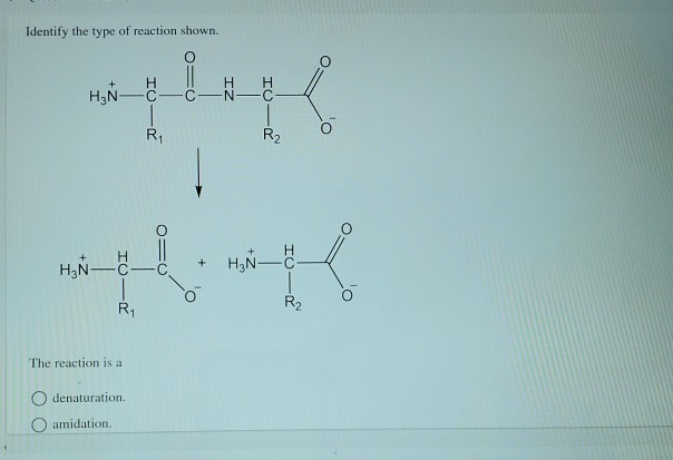 Solved Identify The Type Of Reaction Shown H N C Io H Chegg Com