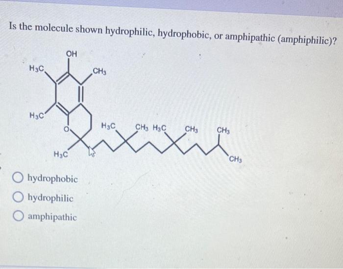 Solved Is the molecule shown hydrophilic, hydrophobic, or