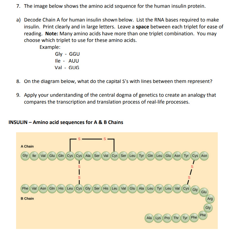 Solved 7. The image below shows the amino acid sequence for