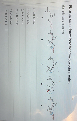 Solved Place the steps shown here for chymotrypsin in | Chegg.com