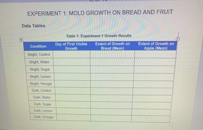 hypothesis for mold growth