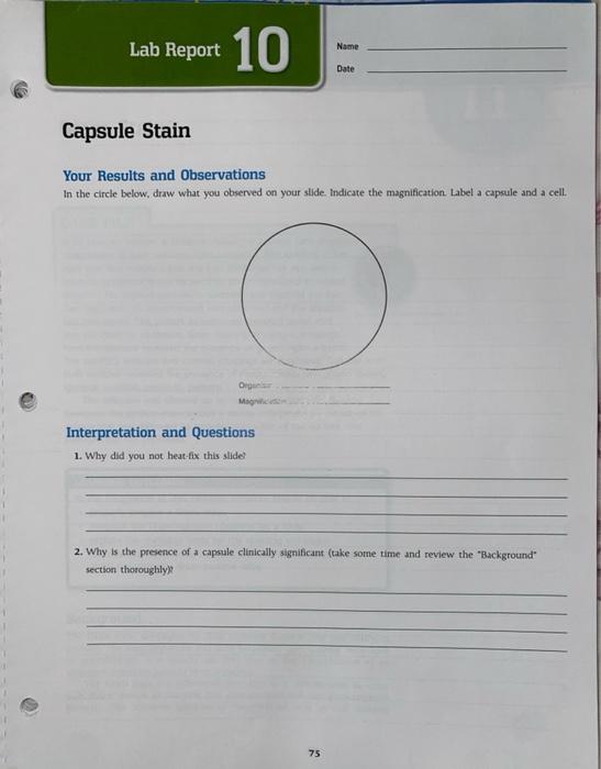 Solved Lab Report 10 Name Date Capsule Stain Your Results