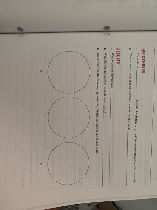 Hypotheses 1 Uv Radiation Bacteria Incubation In Chegg Com