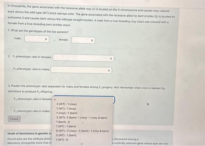 Solved Phenotypic Ratios In Dihybrid Crosses In Drosophila, | Chegg.com