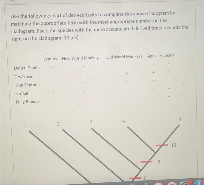 Solved Use The Following Chart Of Derived Traits To Complete Chegg