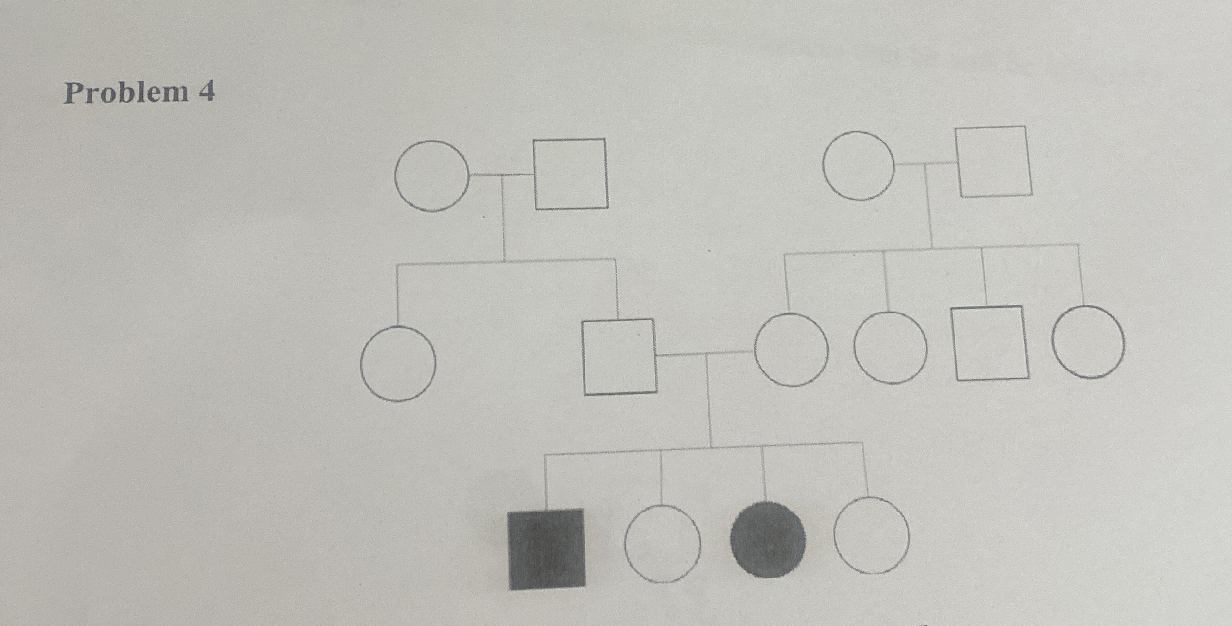 Solved Problem 4Can you show all work in the pedigree and | Chegg.com