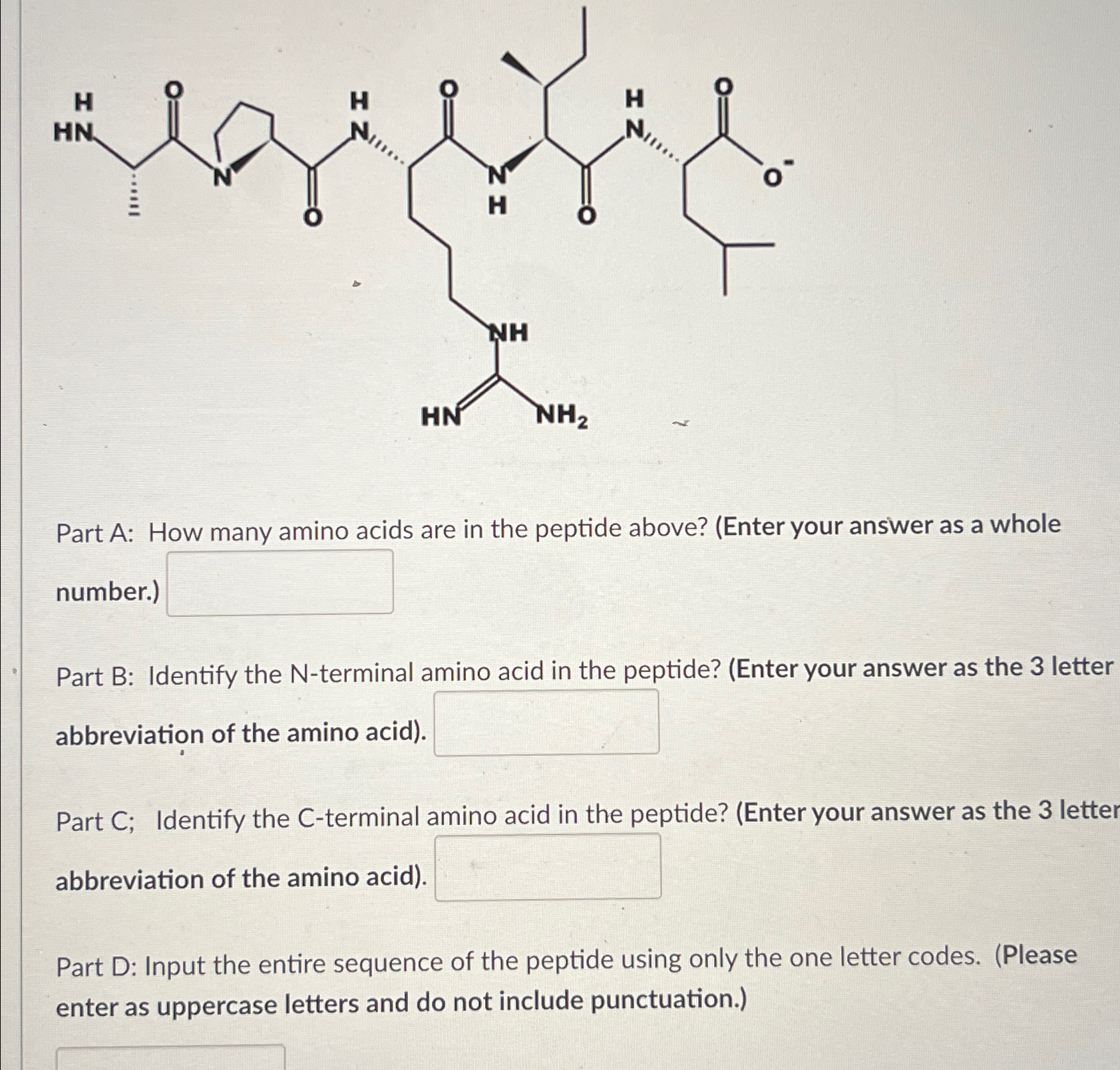 Solved Part A: How manv amino acids are in the peptide | Chegg.com