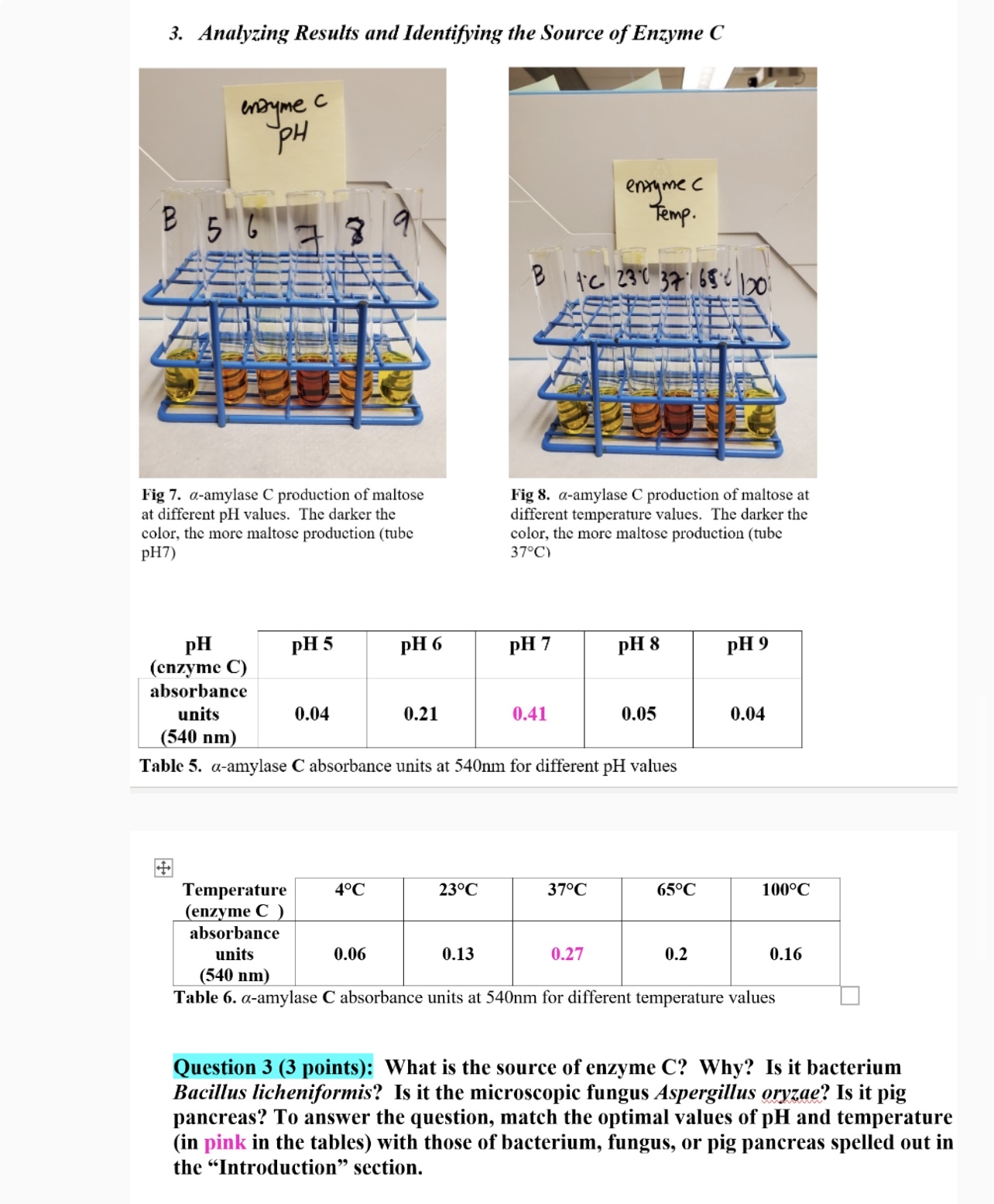Solved What is the source of enzyme C? ﻿Why? Is it | Chegg.com