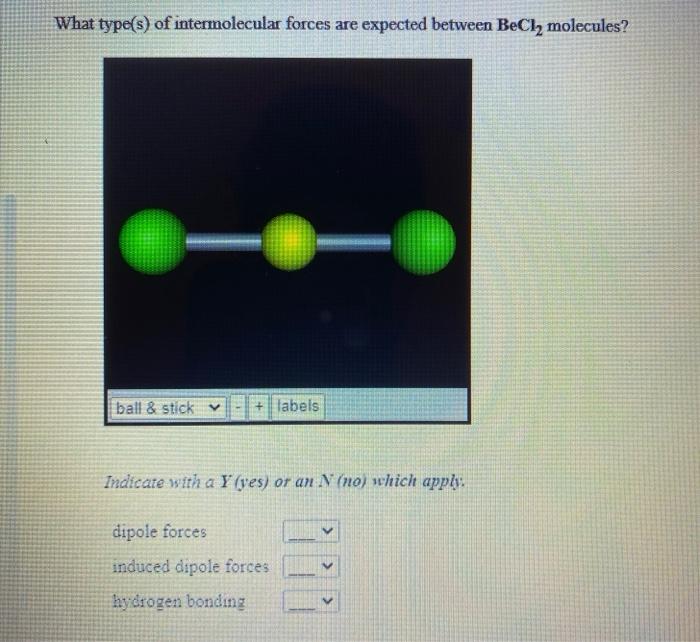 Solved What Type S Of Intermolecular Forces Are Expected Chegg Com