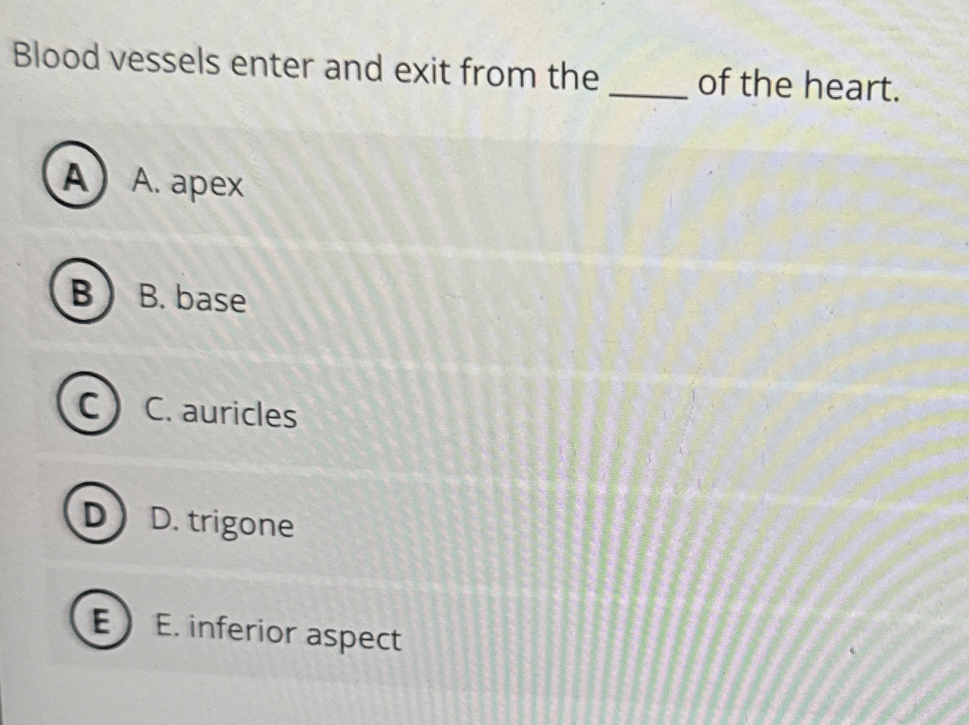 Solved Blood vessels enter and exit from the q, ﻿of the | Chegg.com