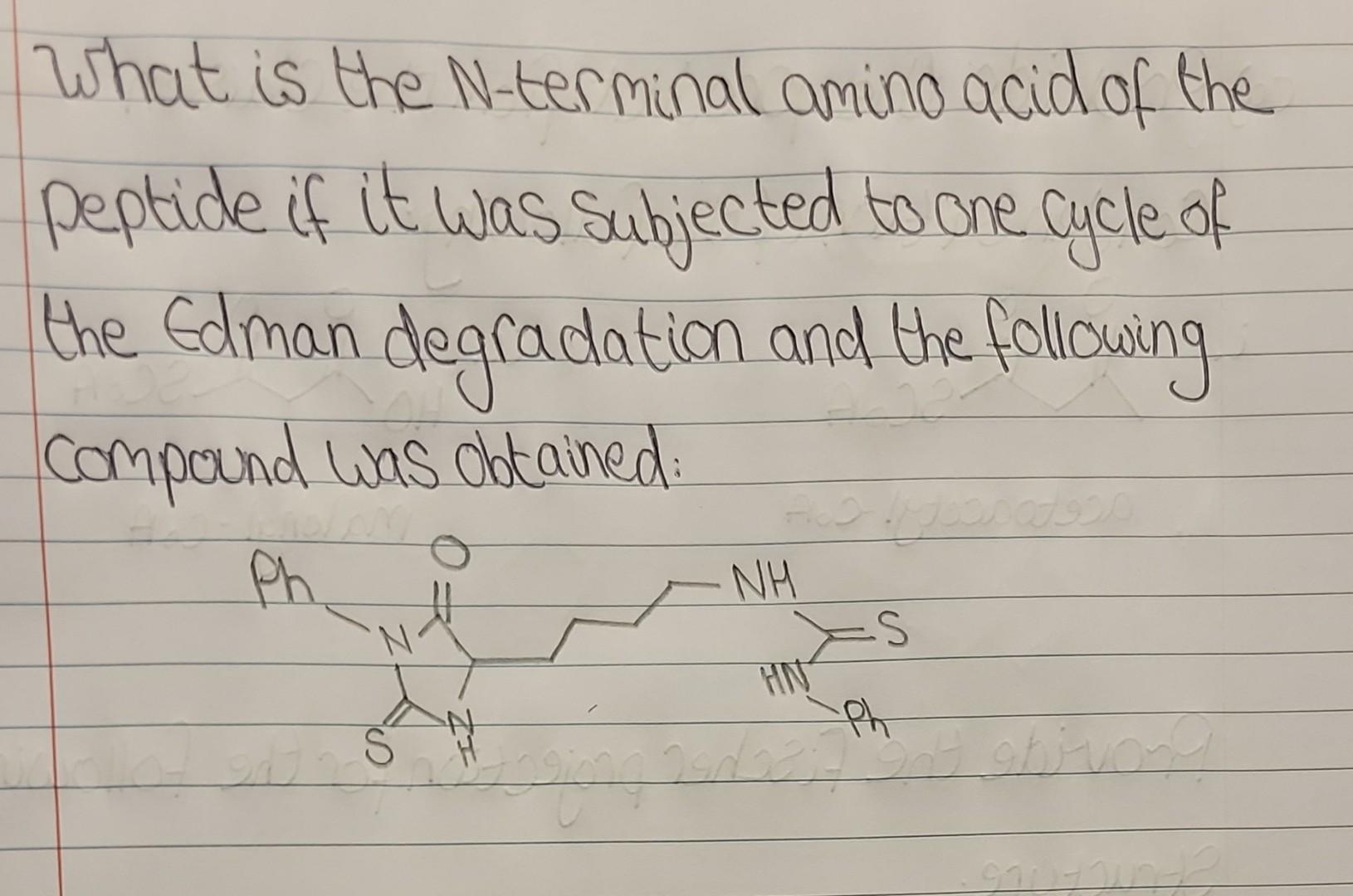 Solved What is the N-terminal amino acid of the peptide if | Chegg.com