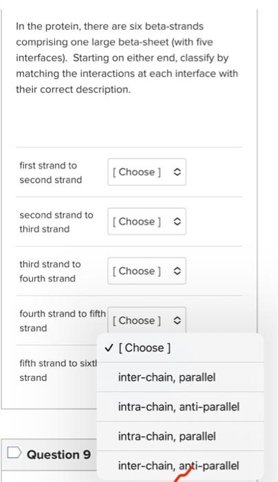 Solved In the protein, there are six beta-strands comprising | Chegg.com