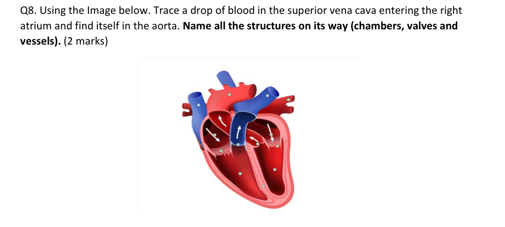 258 ﻿PMSun 27 ﻿Oct( 47q,の Q8. ﻿Using the Image
