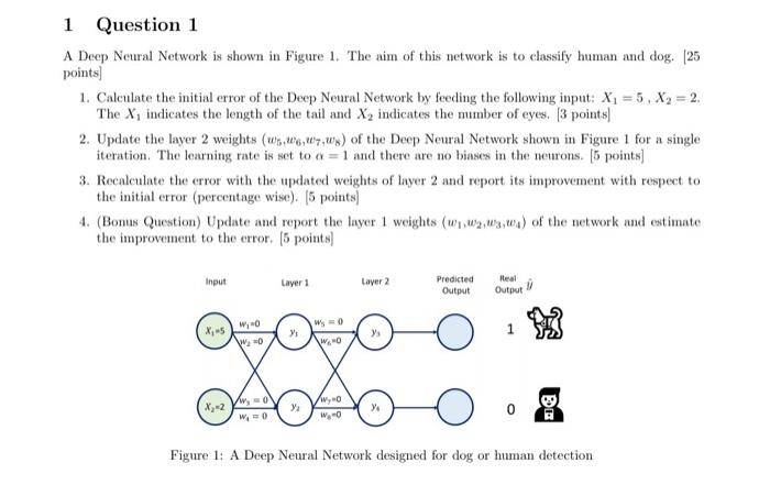 Question 1 A Deep Neural Network is shown in Figure | Chegg.com