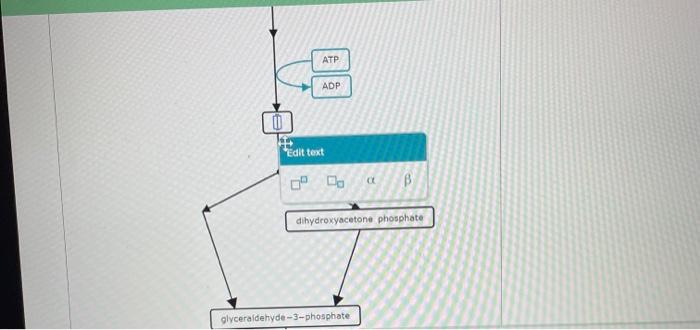 Solved Complete The Biochemical Pathway Below, Which | Chegg.com