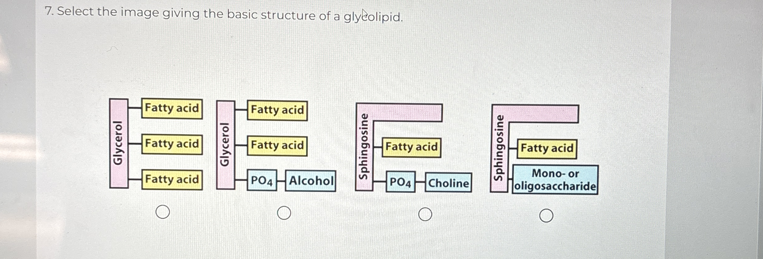 Solved Select the image giving the basic structure of a | Chegg.com