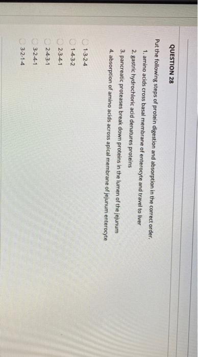 Solved QUESTION 28 Put the following steps of protein | Chegg.com