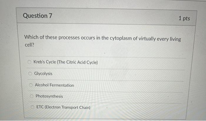 Solved Which of the following is not true of enzymes? | Chegg.com