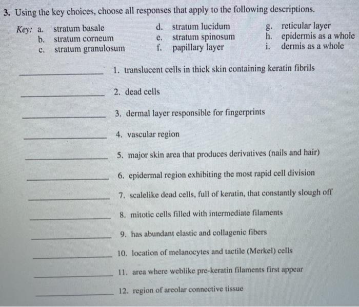 Solved 3. Using the key choices, choose all responses that | Chegg.com