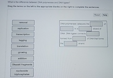 Solved What is the difference between DNA pohyerase and DNA | Chegg.com