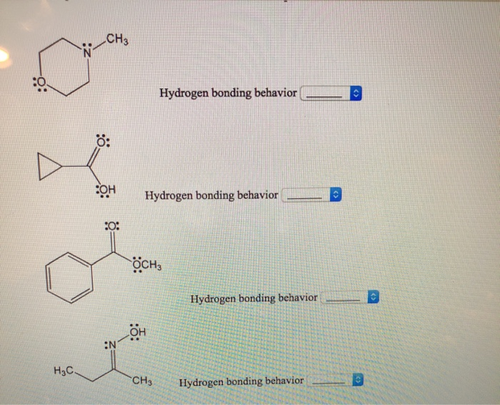 Solved CH H CH3 Hydrogen bonding behavior CH3 H3c Hydrogen | Chegg.com