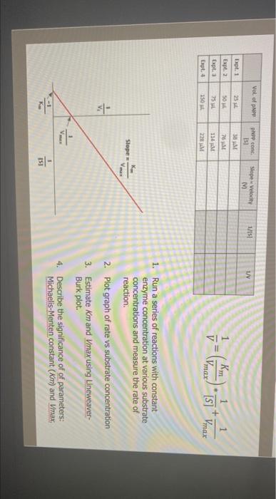 Solved Experment 1 208E1046E-01 972E01 03 20 30 100 120 | Chegg.com