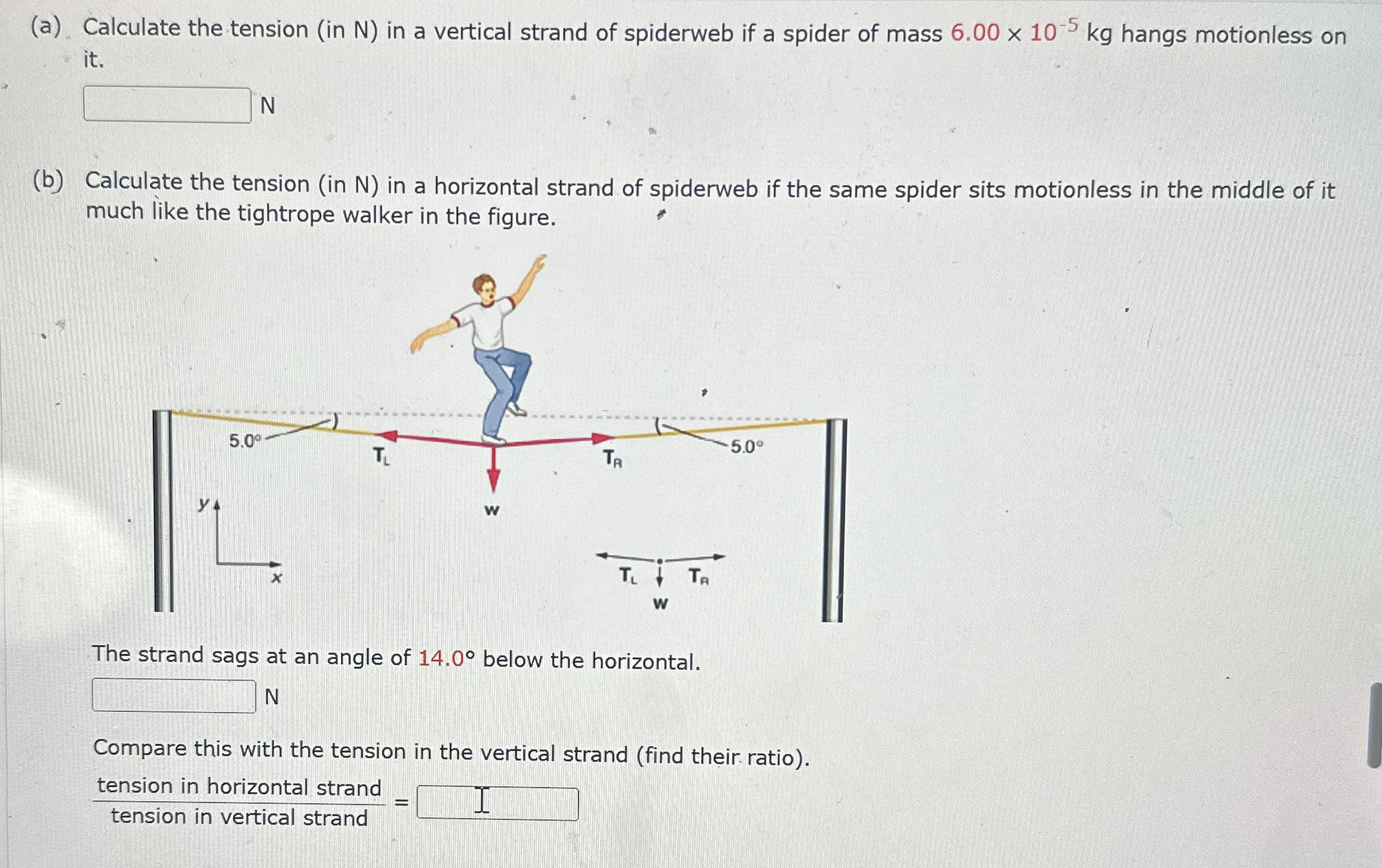 Solved (a) ﻿Calculate the tension (in N ) ﻿in a vertical | Chegg.com