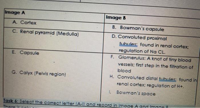 Solved label the below | Chegg.com