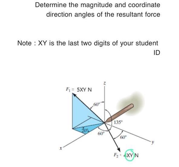 Solved Determine the magnitude and coordinate direction | Chegg.com