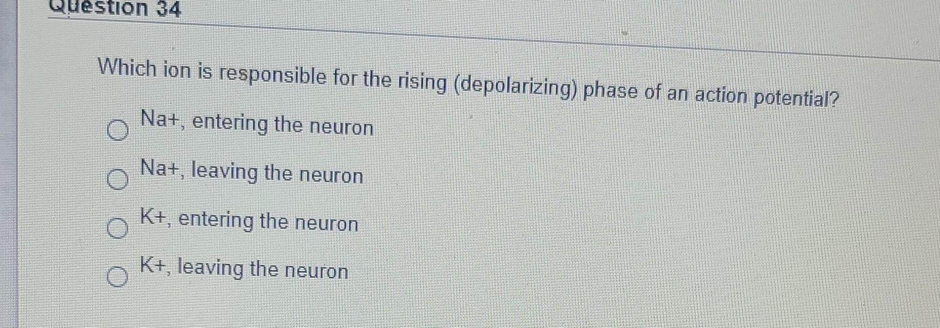 during the rising depolarizing phase of a neuronal action potential