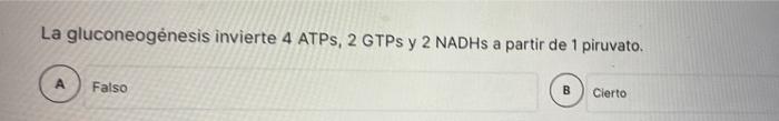 La gluconeogénesis invierte 4 ATPS, 2 GTPs y 2 NADHS a partir de 1 piruvato. Falso B Cierto