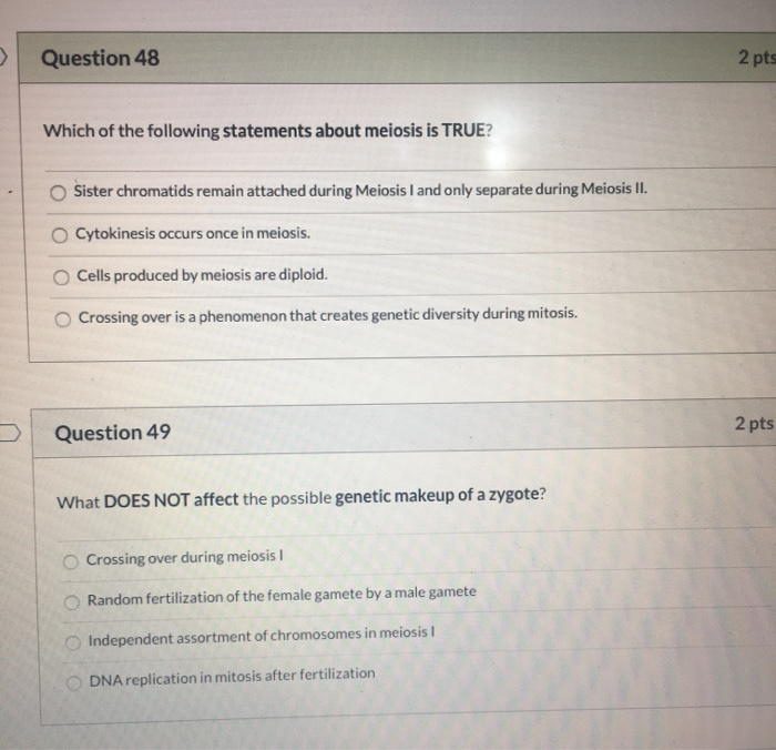 Solved Question 48 2 Pts Which Of The Following Statements | Chegg.com Solved Question 48 2 Pts Which Of The Following Statements | Chegg.com