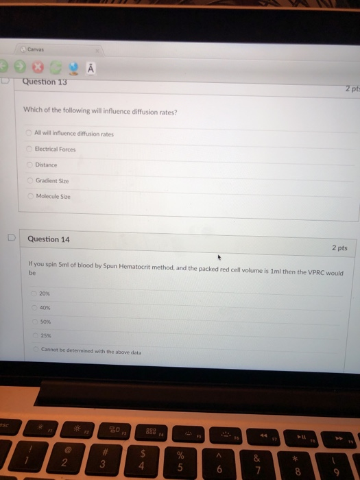 Solved Canvas Question 13 2 pts Which of the following will | Chegg.com