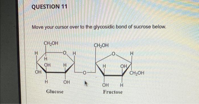 Move your cursor over to the glycosidic bond of sucrose below.