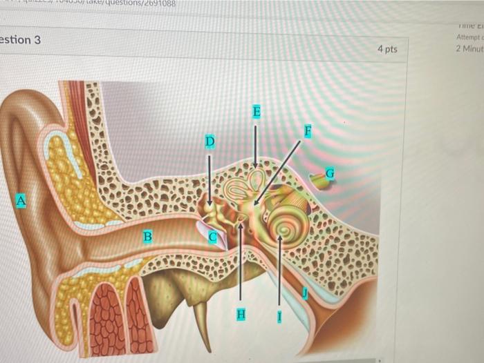 Solved Ju der questions/2691088 estion 3 ІІІe E Attempt 2 Chegg com
