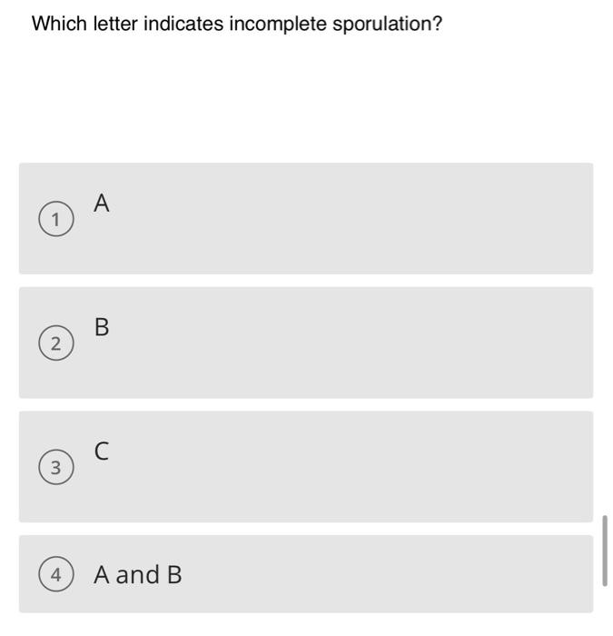 Solved A B ∞Identify this stain. Endospore capsule Gram | Chegg.com