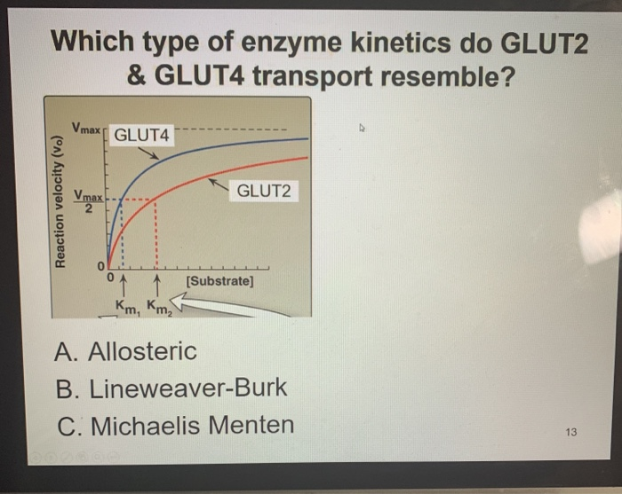 glut 2 vs glut 4 km