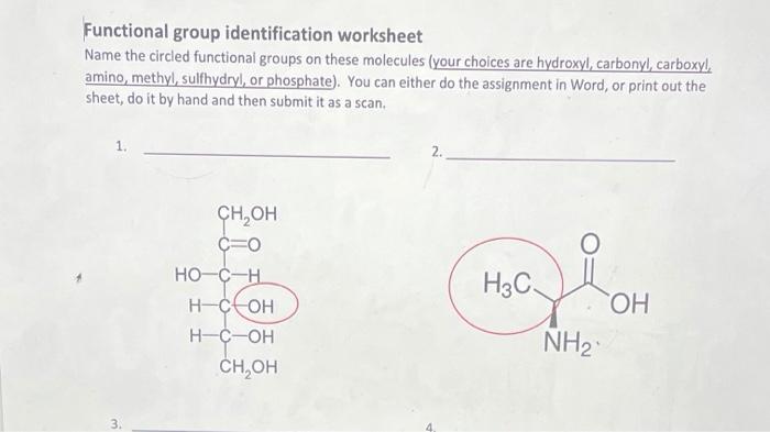 Solved Functional group identification worksheet Name the | Chegg.com