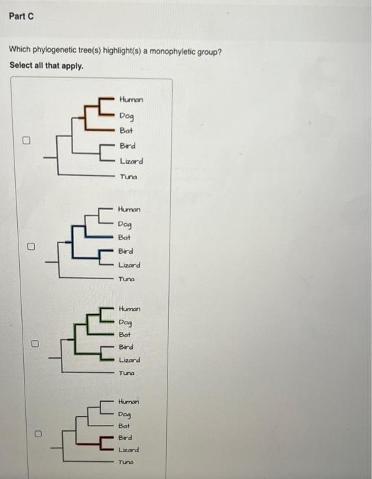 Which phylogenetic tree(s) highlight(s) a monophyletic group?
Select all that apply.