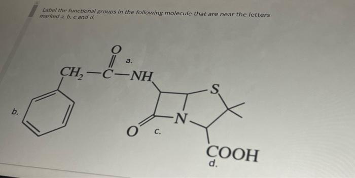 Solved Label The Functional Groups In The Following Molecule | Chegg.com