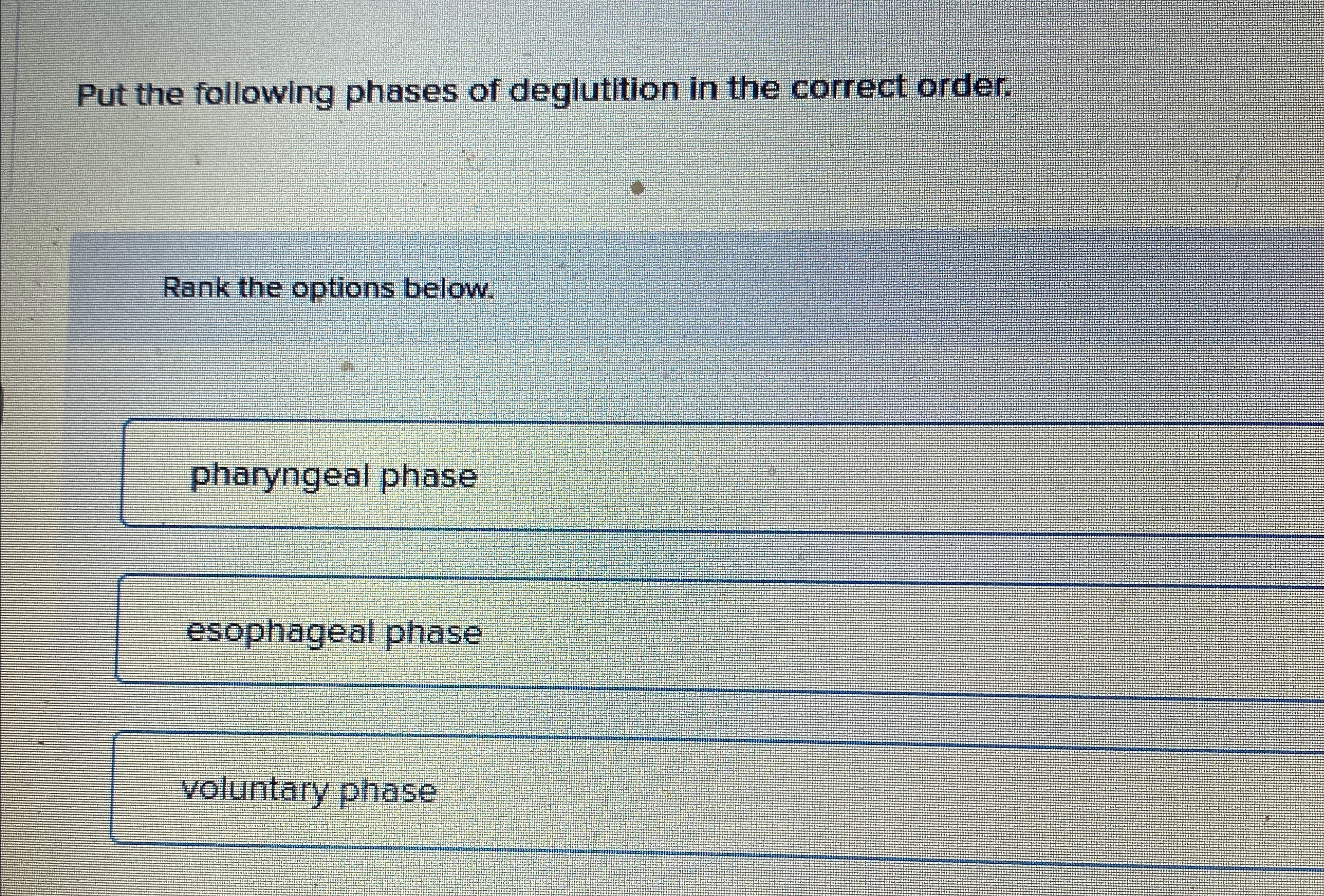 Solved Put the following phases of deglutition in the | Chegg.com
