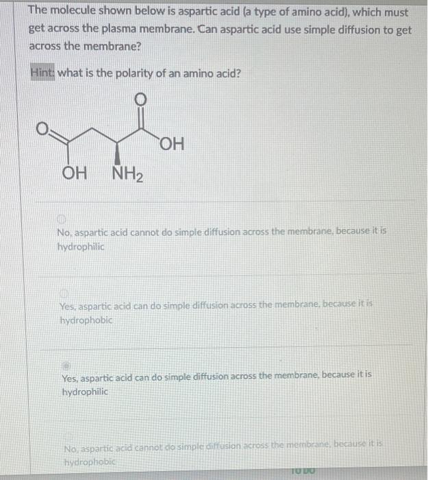 The molecule shown below is aspartic acid (a type of amino acid), which must get across the plasma membrane. Can aspartic aci